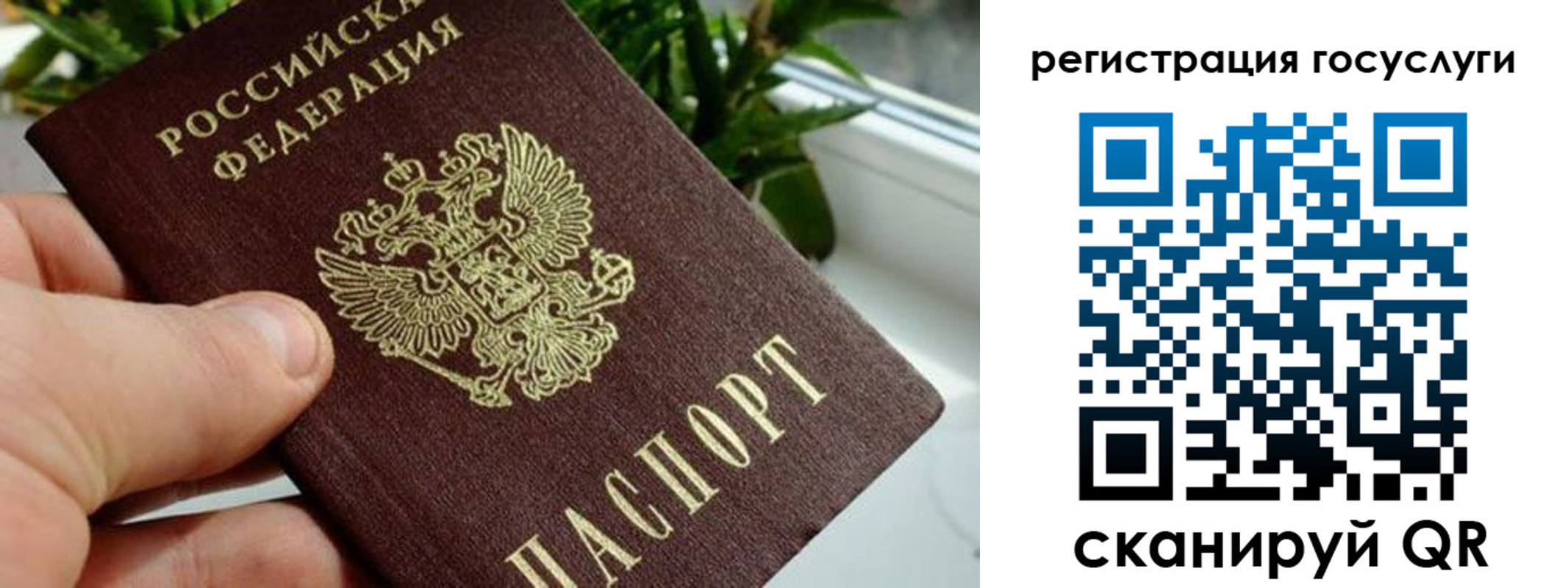 прописка для кредита в Саках
